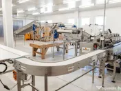 BUSINESS DE VANZARE Plantatie de afin din Romania 