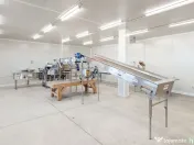 BUSINESS DE VANZARE Plantatie de afin din Romania 