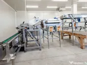 BUSINESS DE VANZARE Plantatie de afin din Romania 