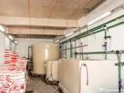 BUSINESS DE VANZARE Plantatie de afin din Romania 