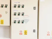 BUSINESS DE VANZARE Plantatie de afin din Romania 