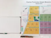 BUSINESS DE VANZARE Plantatie de afin din Romania 