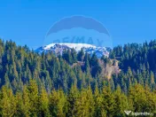 COMISION 0% Teren 13,800mp Fundatica / Intravilan 