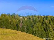 COMISION 0% Teren 13,800mp Fundatica / Intravilan 