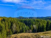 COMISION 0% Teren 13,800mp Fundatica / Intravilan 