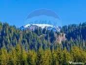 COMISION 0% Teren 13,800mp Fundatica / Intravilan 