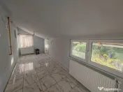 Constructie S+P+1E+M si teren 2000 mp, I.L. Caragiale, Dambo 