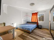 Casă cu 5 camere in Barzava 