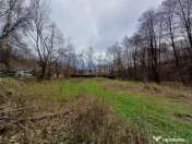 Resita, Teren Drept Intravilan, Langa Prau si Drum, 1308 Mp. 