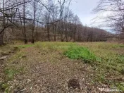 Resita, Teren Drept Intravilan, Langa Prau si Drum, 1308 Mp. 