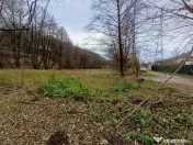 Resita, Teren Drept Intravilan, Langa Prau si Drum, 1308 Mp. 