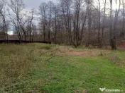 Resita, Teren Drept Intravilan, Langa Prau si Drum, 1308 Mp. 