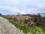 Teren intravilan Smeura Arges 