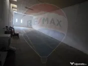 Ansamblu casa de locuit, hala productie ,spatiu de birour... 