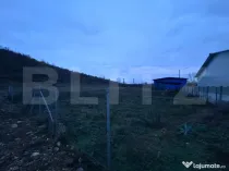 Teren Intravilan de vanzare, 485 mp, Balesti