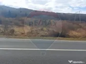 Comision 0 %! Teren 10,000 mp, front la DN1A, Sacele! 