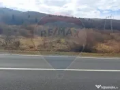 Comision 0 %! Teren 10,000 mp, front la DN1A, Sacele! 