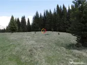 Terenuri speciale Padina Busteni 