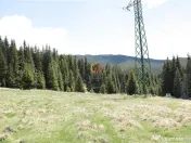 Terenuri speciale Padina Busteni 