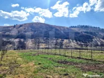 Teren intravilan, 600mp, front 7m, utilitati in zona, Luna