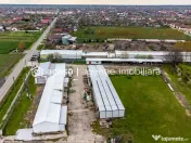 Hale depozitare/producție 2.000 mp si 10.000 mp teren î... 