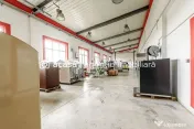 Hale depozitare/producție 2.000 mp si 10.000 mp teren î... 