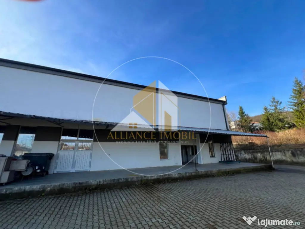 Spațiu industrial cu utilizare mixtă(producție ,depozit,