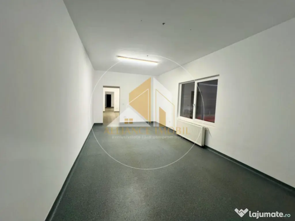 Spațiu industrial cu utilizare mixtă(producție ,depozit,