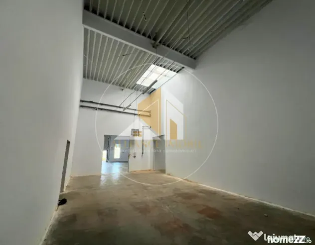Spațiu industrial cu utilizare mixtă(producție ,depozit, - Bistrita (Bistrita-Nasaud)