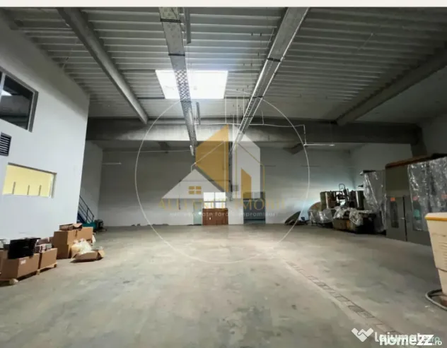 Spațiu industrial cu utilizare mixtă(producție ,depozit, - Bistrita (Bistrita-Nasaud)