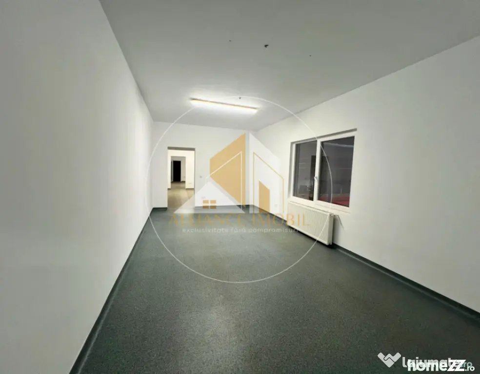 Spațiu industrial cu utilizare mixtă(producție ,depozit, - Bistrita (Bistrita-Nasaud)