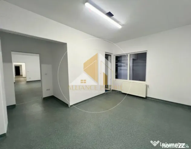Spațiu industrial cu utilizare mixtă(producție ,depozit, - Bistrita (Bistrita-Nasaud)