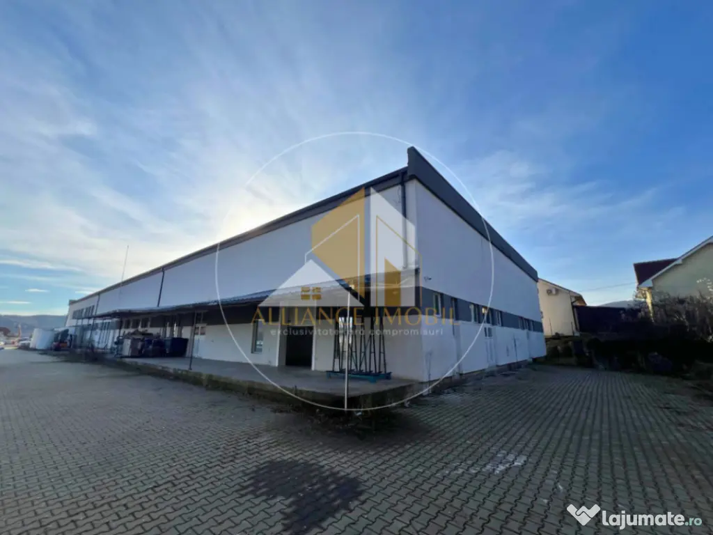 Spațiu industrial cu utilizare mixtă(producție ,depozit,