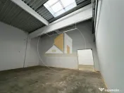 Spațiu industrial cu utilizare mixtă(producție ,depozit, 