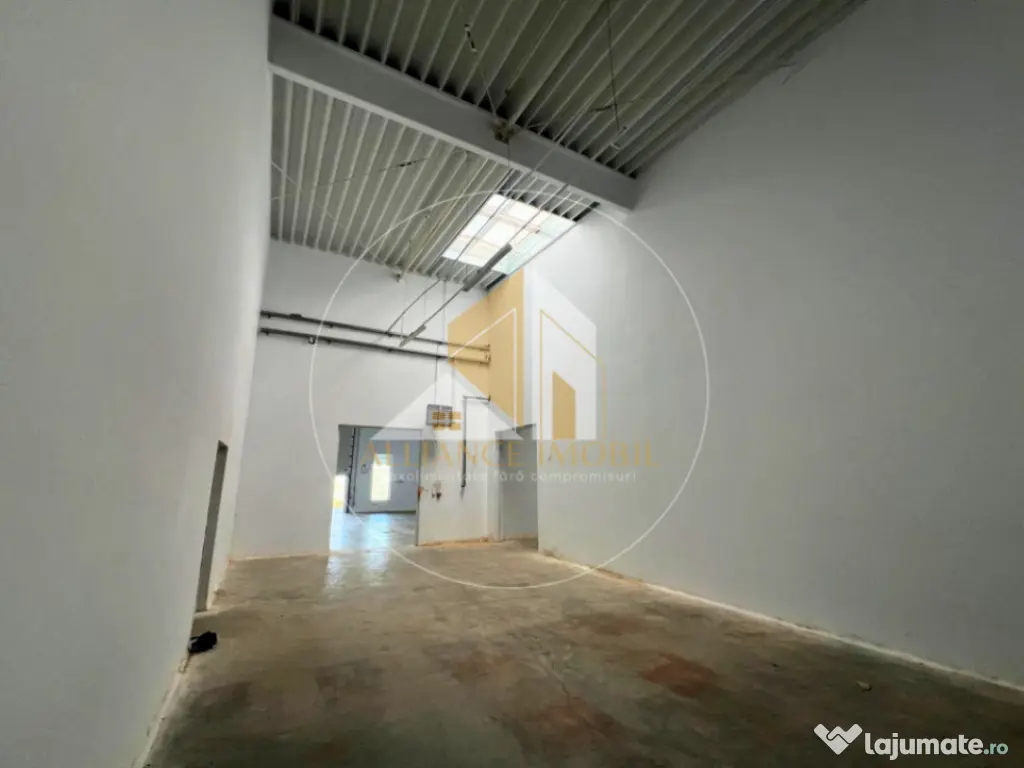 Spațiu industrial cu utilizare mixtă(producție ,depozit,