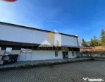 Spațiu industrial cu utilizare mixtă(producție ,depozit,