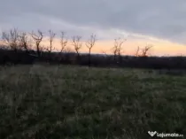 Teren extravilan, 4760 mp - zona Ghercesti