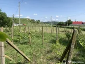 Casă + teren 2600 mp- Com. Negri- scop rezidențial sau ind 