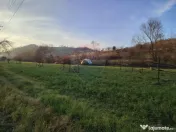 COMISION 0% Teren intravilan de vanzare in Barsana (26 ARI) 