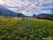 COMISION 0% Teren intravilan de vanzare in Barsana (26 ARI) 