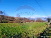 COMISION 0% Teren intravilan de vanzare in Barsana (26 ARI) 