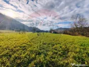 COMISION 0% Teren intravilan de vanzare in Barsana (26 ARI) 