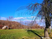 COMISION 0% Teren intravilan de vanzare in Barsana (26 ARI) 