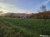 COMISION 0% Teren intravilan de vanzare in Barsana (26 ARI) 