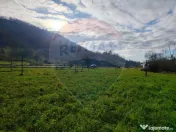 COMISION 0% Teren intravilan de vanzare in Barsana (26 ARI) 