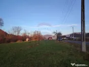 COMISION 0% Teren intravilan de vanzare in Barsana (26 ARI) 