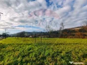 COMISION 0% Teren intravilan de vanzare in Barsana (26 ARI) 