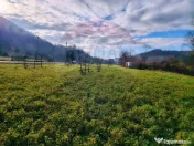 COMISION 0% Teren intravilan de vanzare in Barsana (26 ARI) 