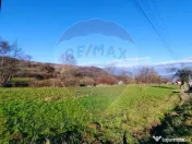 COMISION 0% Teren intravilan de vanzare in Barsana (26 ARI) 