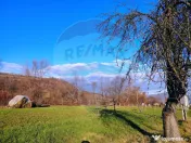 COMISION 0% Teren intravilan de vanzare in Barsana (26 ARI) 